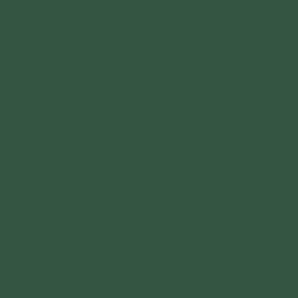 GS-008 Chalkboard Green