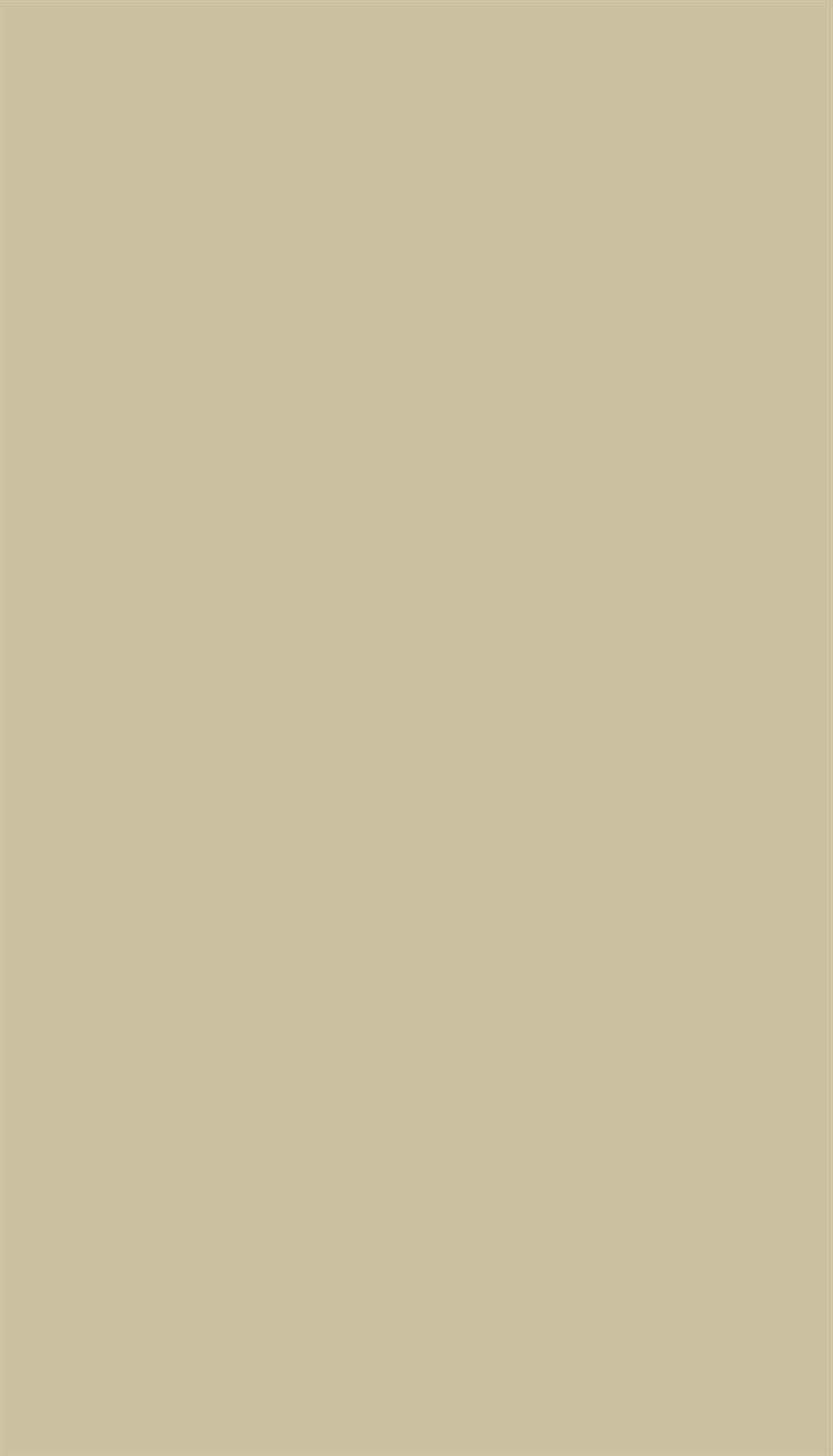 GS 018 IRISH CREAM