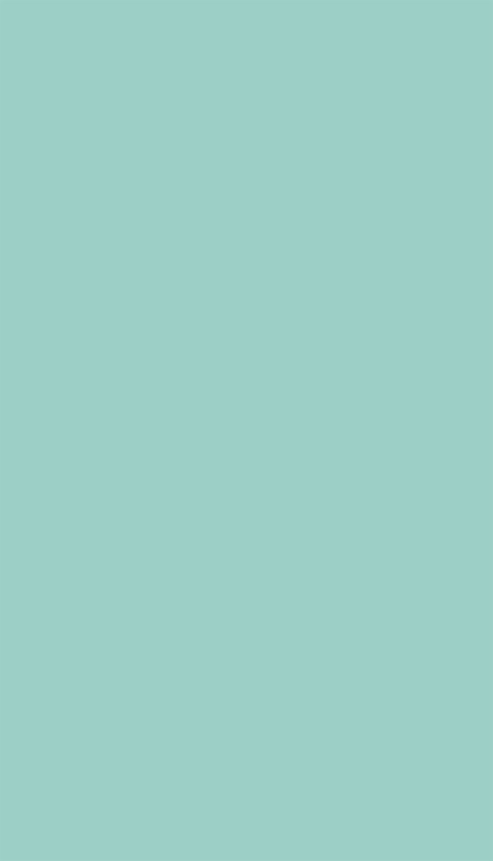 GS 020 MINT