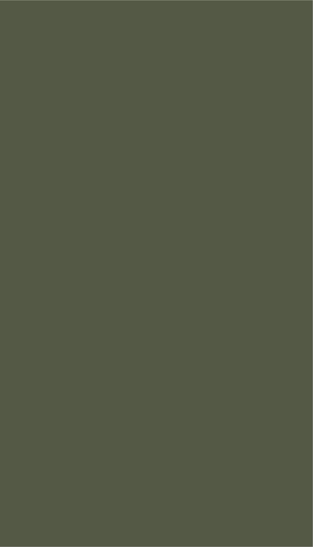 GS 023 OLIVE