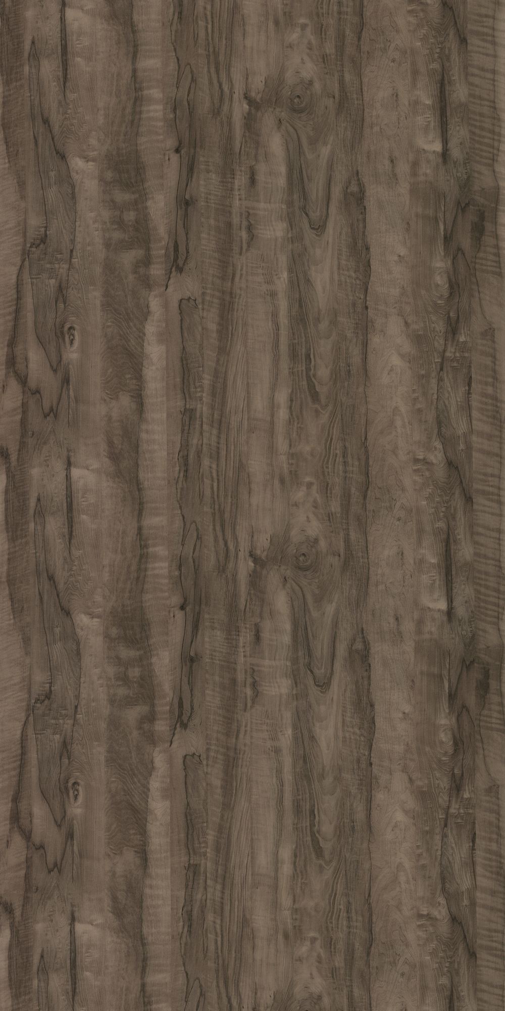 GC-1045 Coachwood Dark