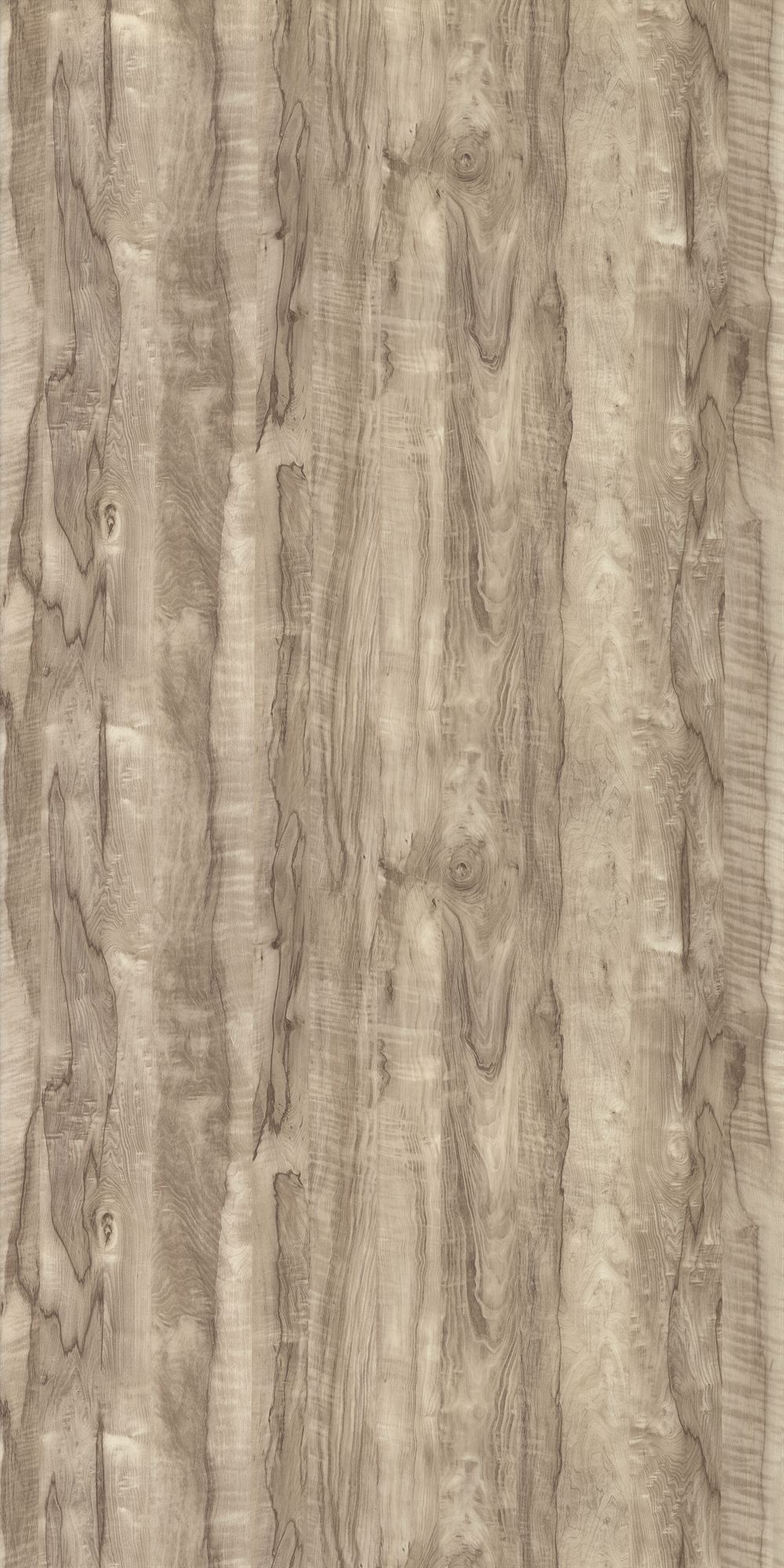 GC-1046 Coachwood Light