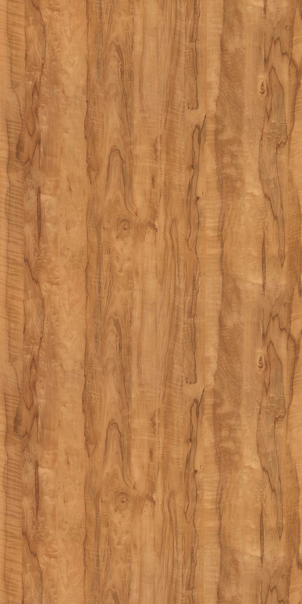 GC-1047 Coachwood Cream
