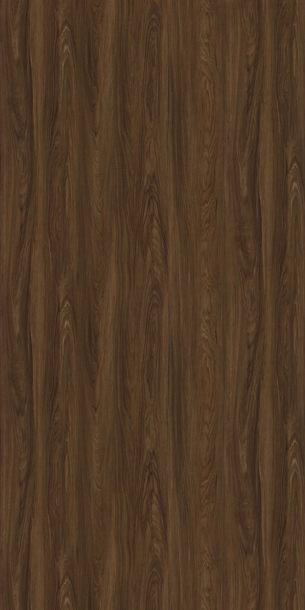 GC-2035 Lime Wood Dark