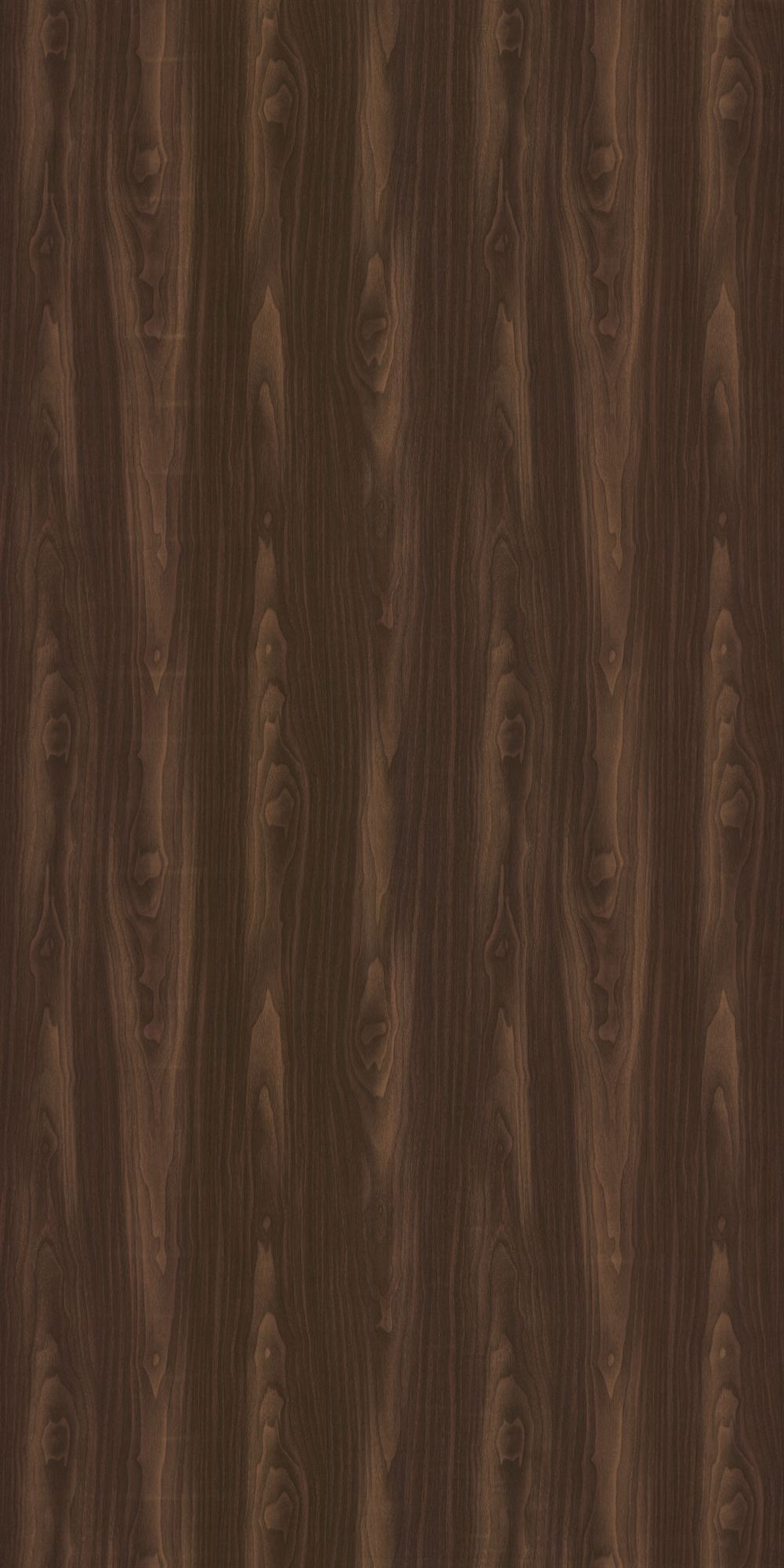 GC1093__Golden Walnut