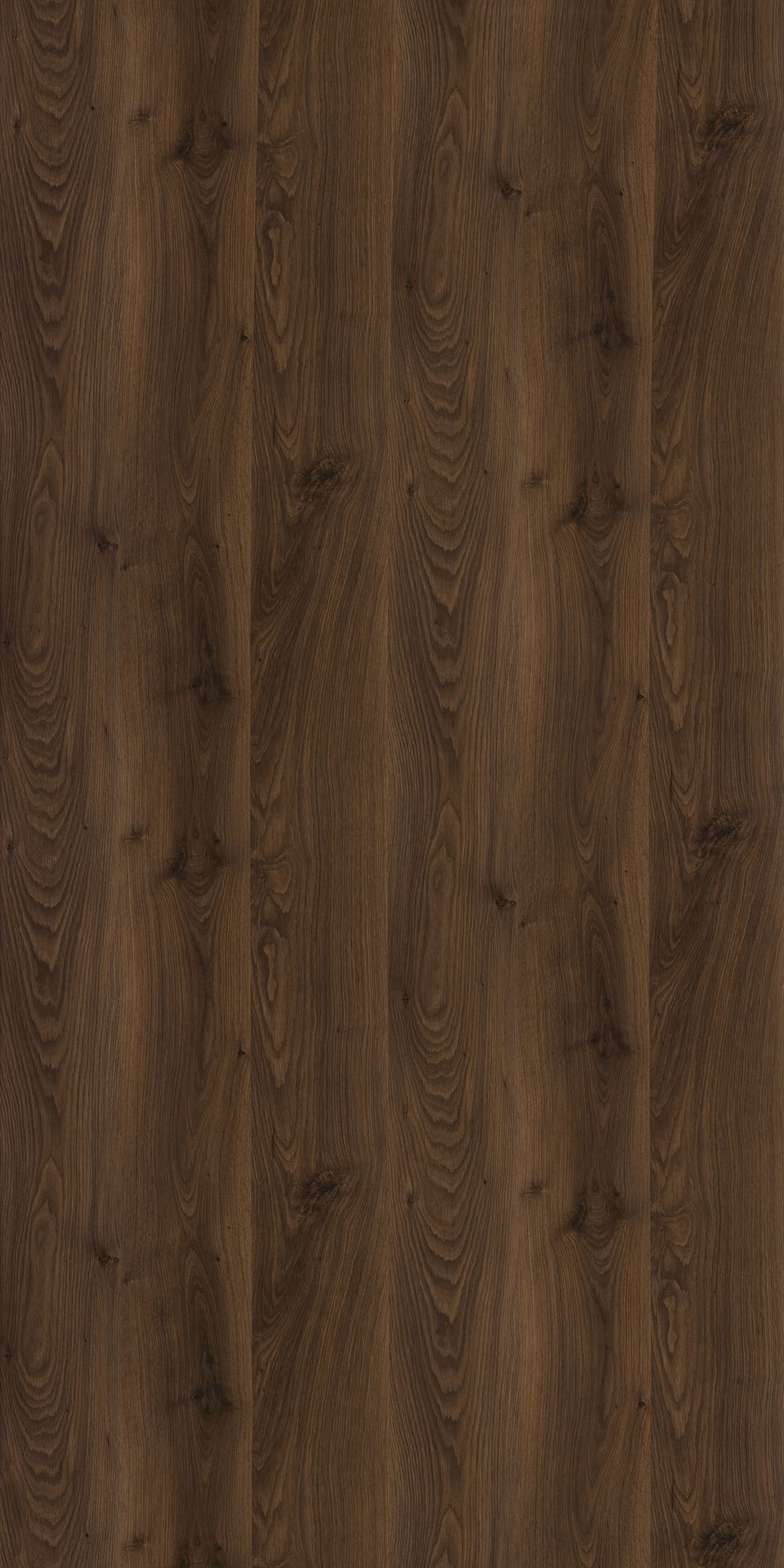 GC2003__Hickory Oak